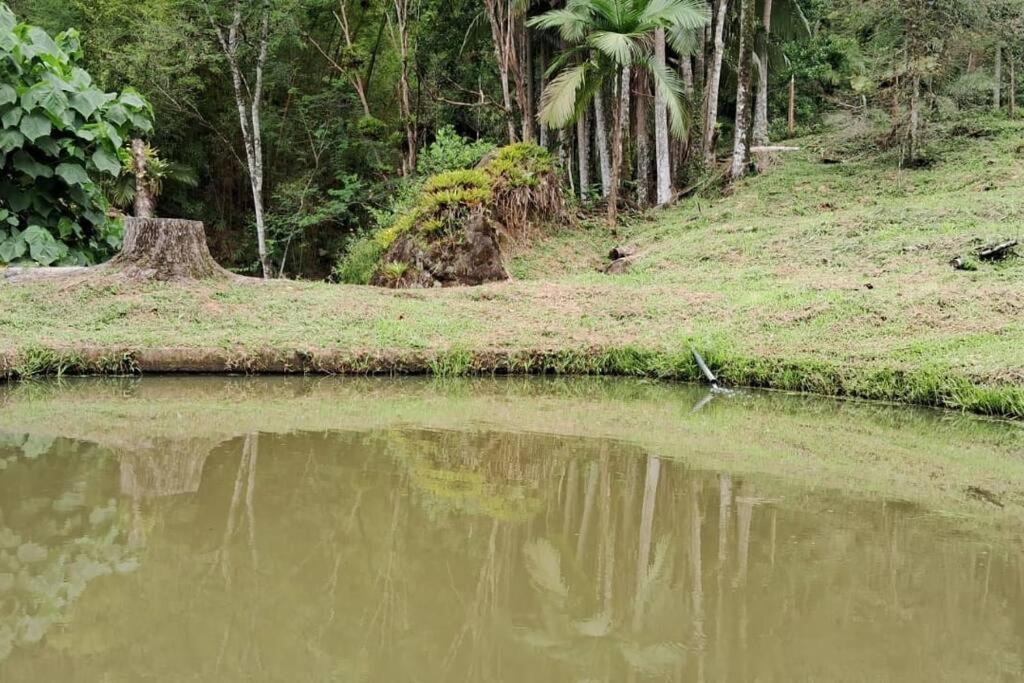 Sitio Som Das Aguas Benedito Novo Exterior photo