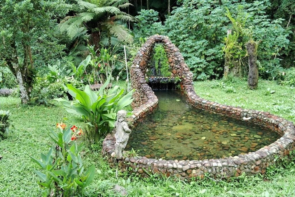 Sitio Som Das Aguas Benedito Novo Exterior photo