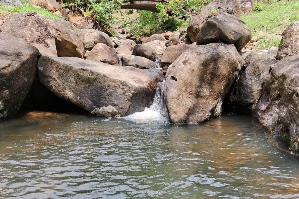 Sitio Som Das Aguas Benedito Novo Exterior photo