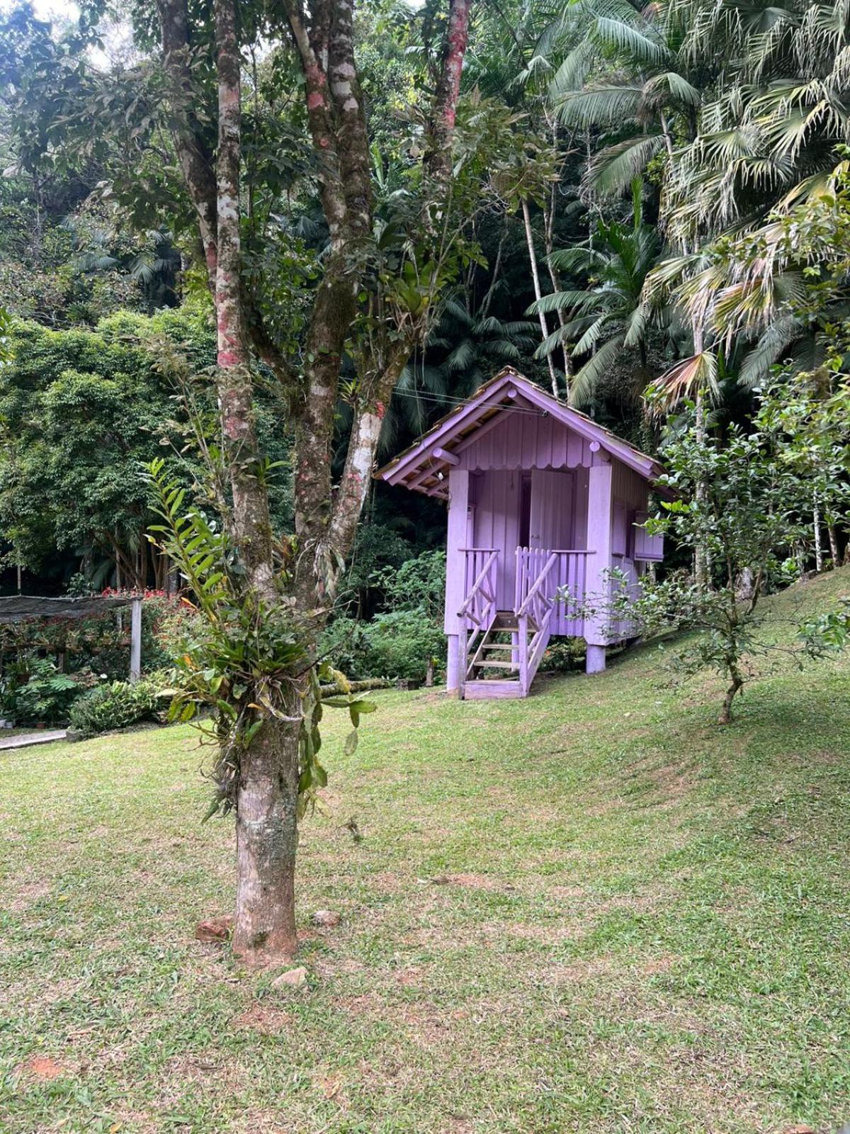 Sitio Som Das Aguas Benedito Novo Exterior photo
